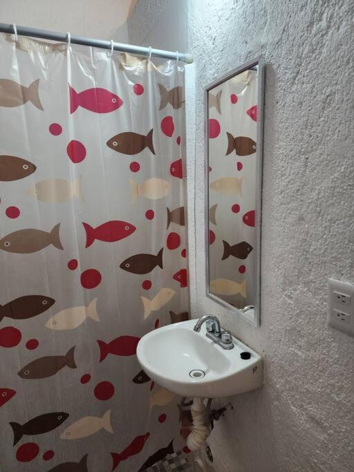 Small Studio Apt 5Min To Dt! Zihuatanejo Extérieur photo