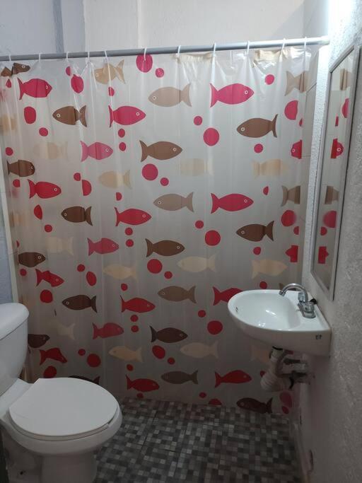 Small Studio Apt 5Min To Dt! Zihuatanejo Extérieur photo